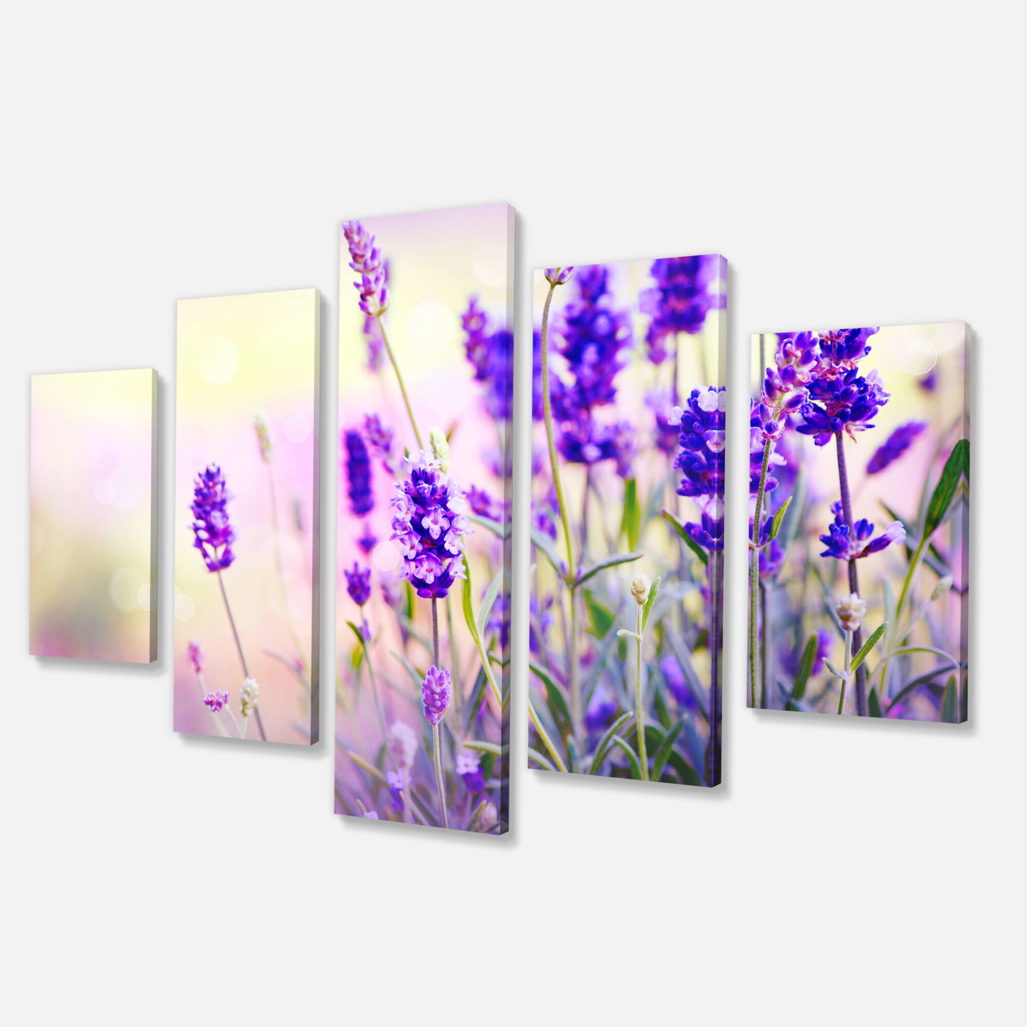 Designart - Purple Lavender Field - Large Floral Photography Canvas Art Print